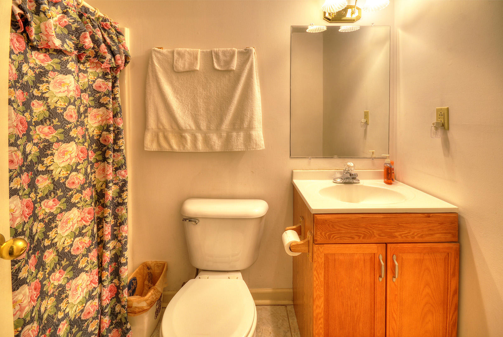 1423 Ebenezer Road Knoxville, TN 37922 - Photo 19 of 23 Hall bath