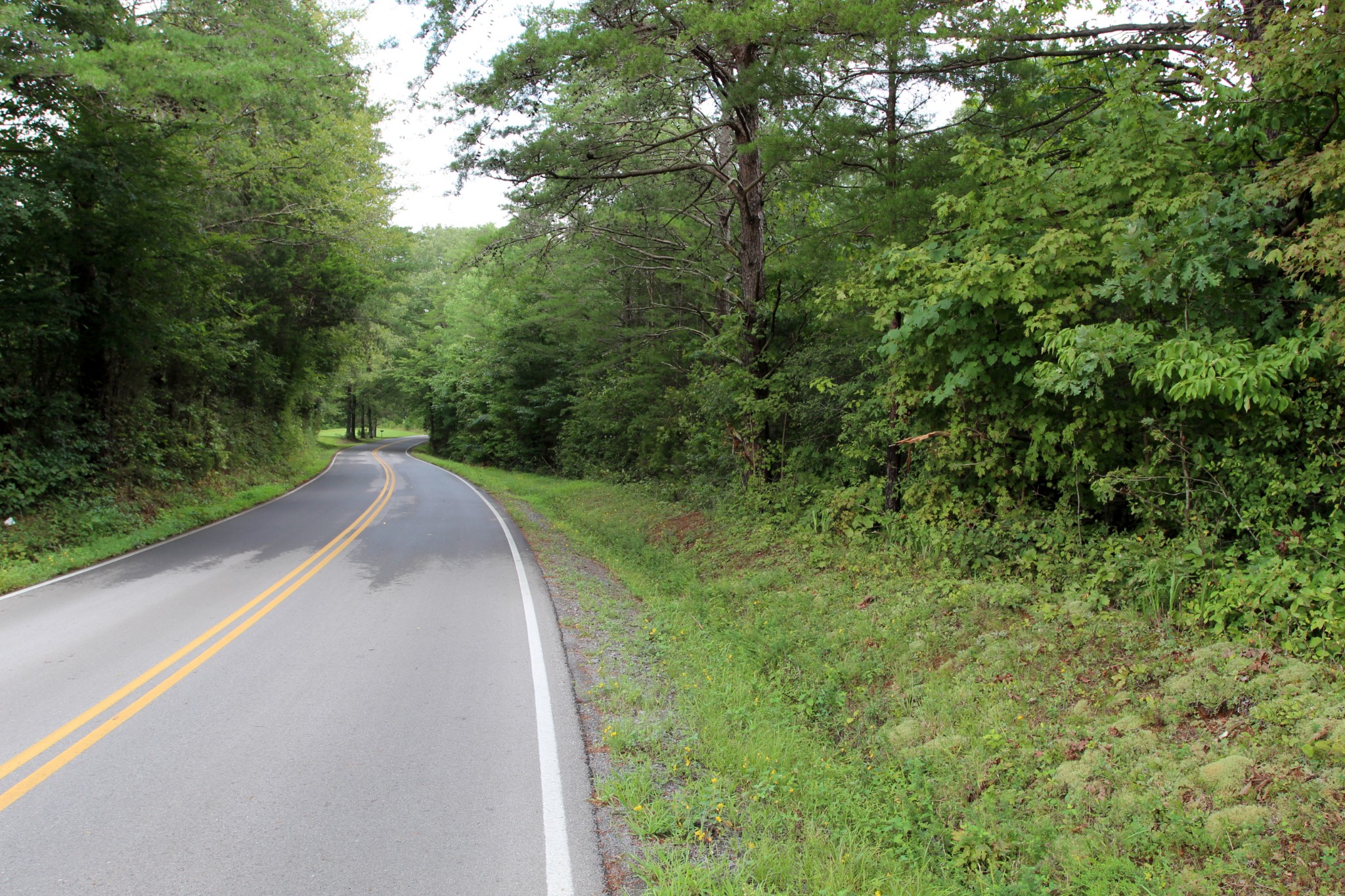 0 George Boyd Road Ashland City, TN 37015 - Photo 11 of 46 Gallery Image 11