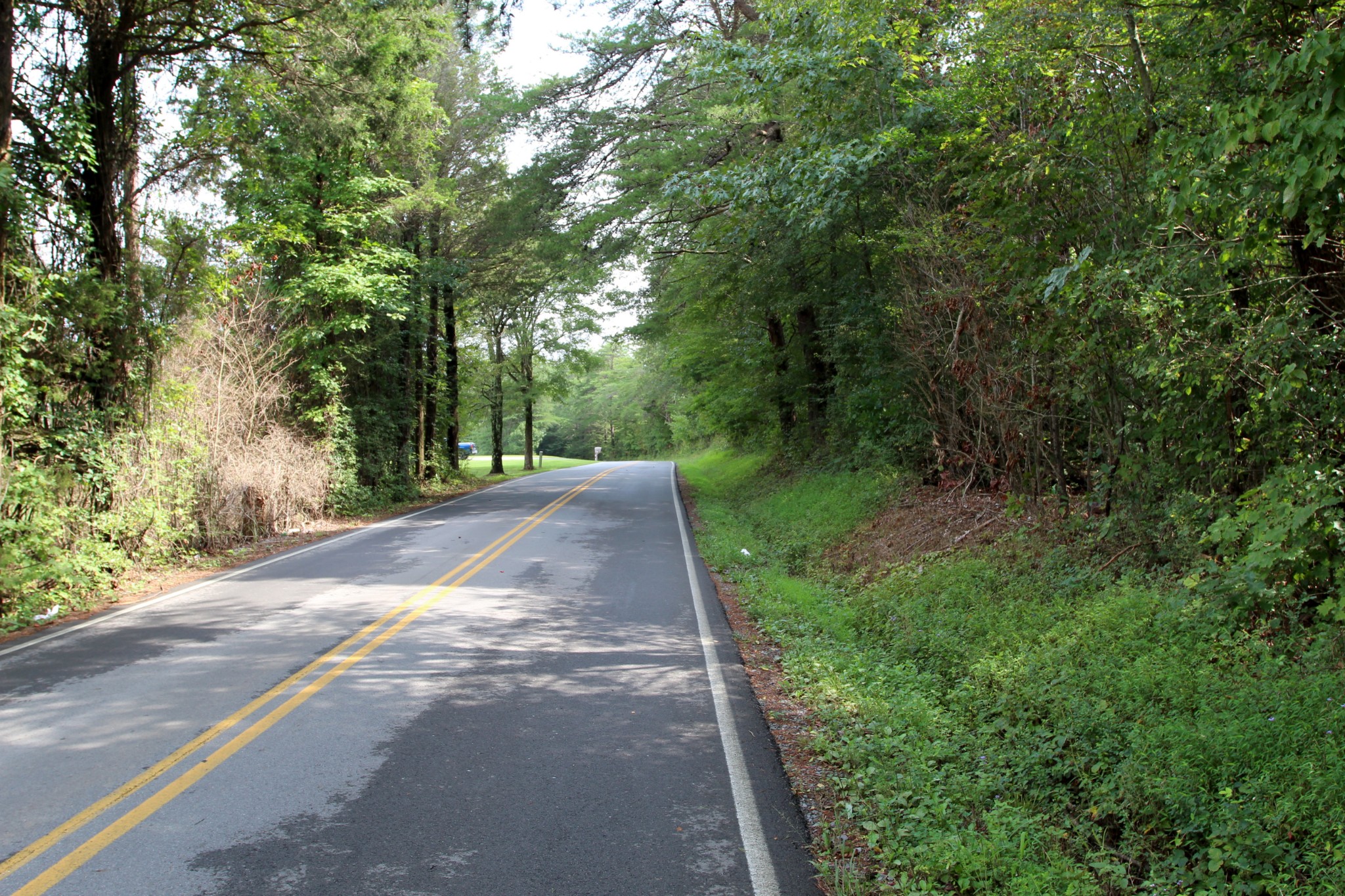 0 George Boyd Road Ashland City, TN 37015 - Photo 12 of 46 Gallery Image 12