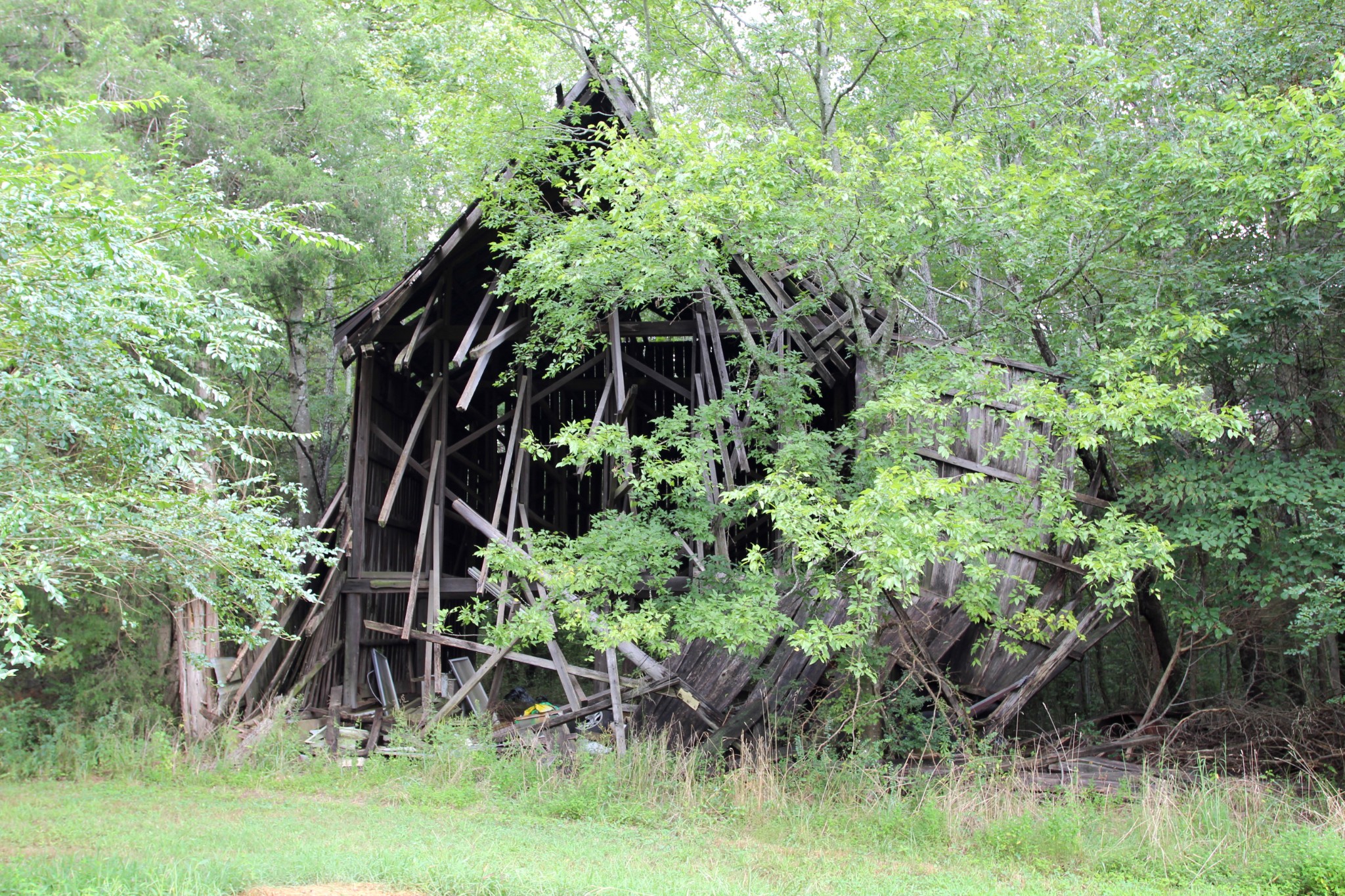 0 George Boyd Road Ashland City, TN 37015 - Photo 14 of 46 Gallery Image 14