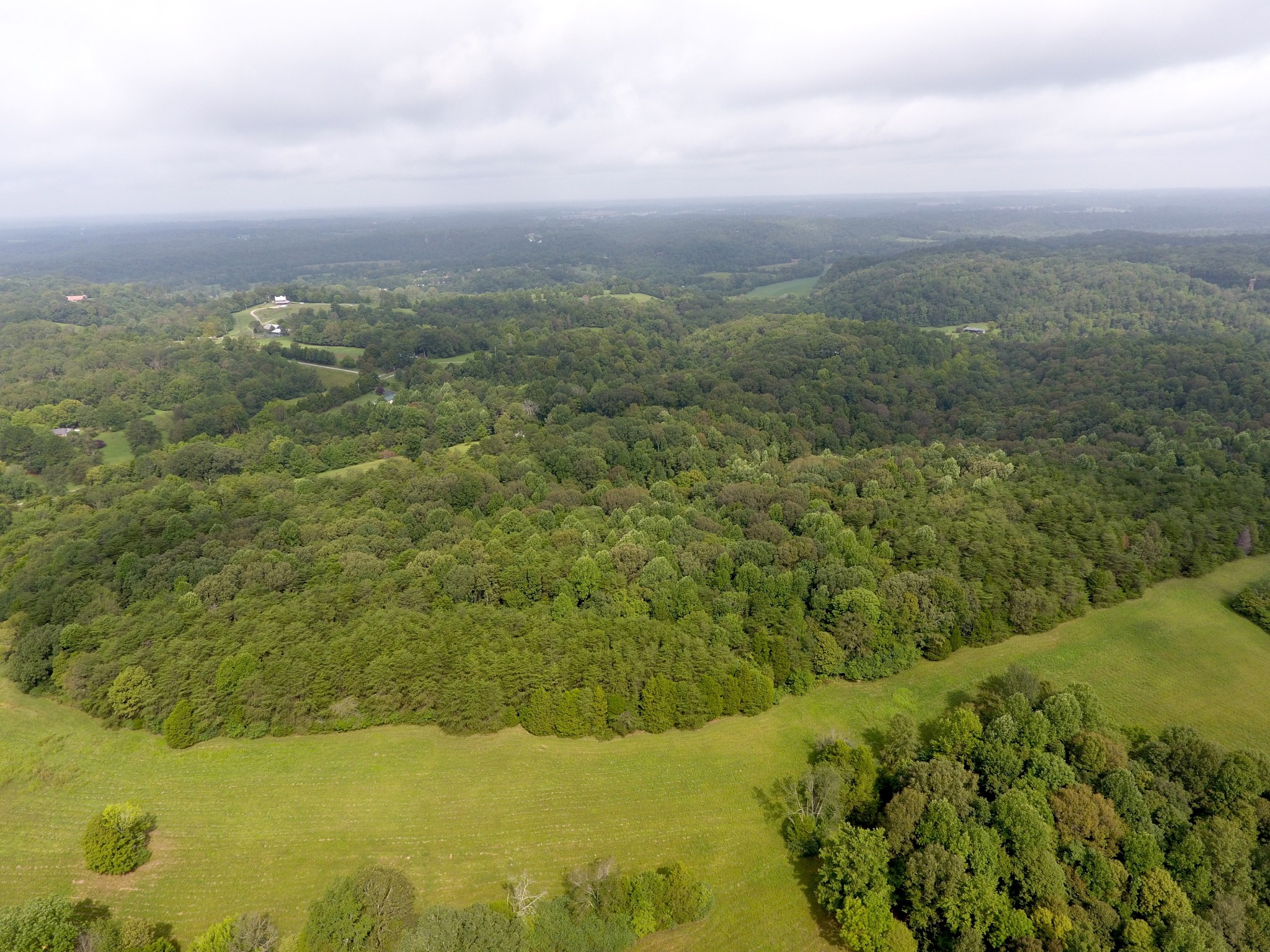 0 George Boyd Road Ashland City, TN 37015 - Photo 6 of 46 Gallery Image 6