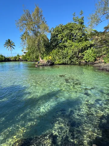 a view of a lake with houses