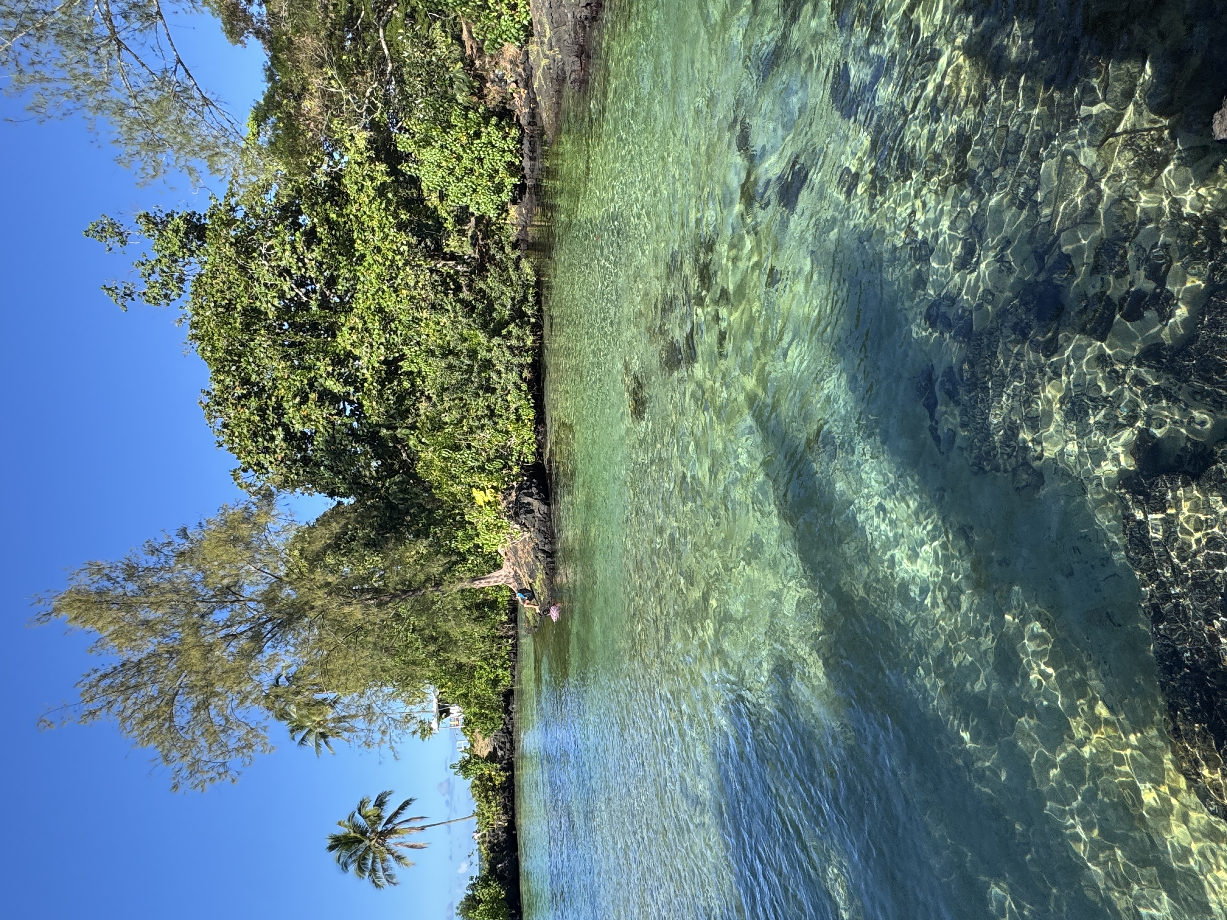 1303 Kalanianaole Street, Unit 112 Hilo, HI 96720 - Photo 2 of 27 a view of a lake with houses