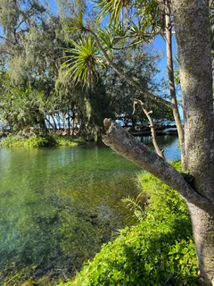 a view of wooden floor