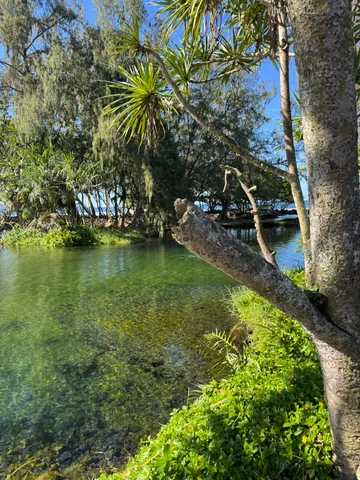 a view of wooden floor