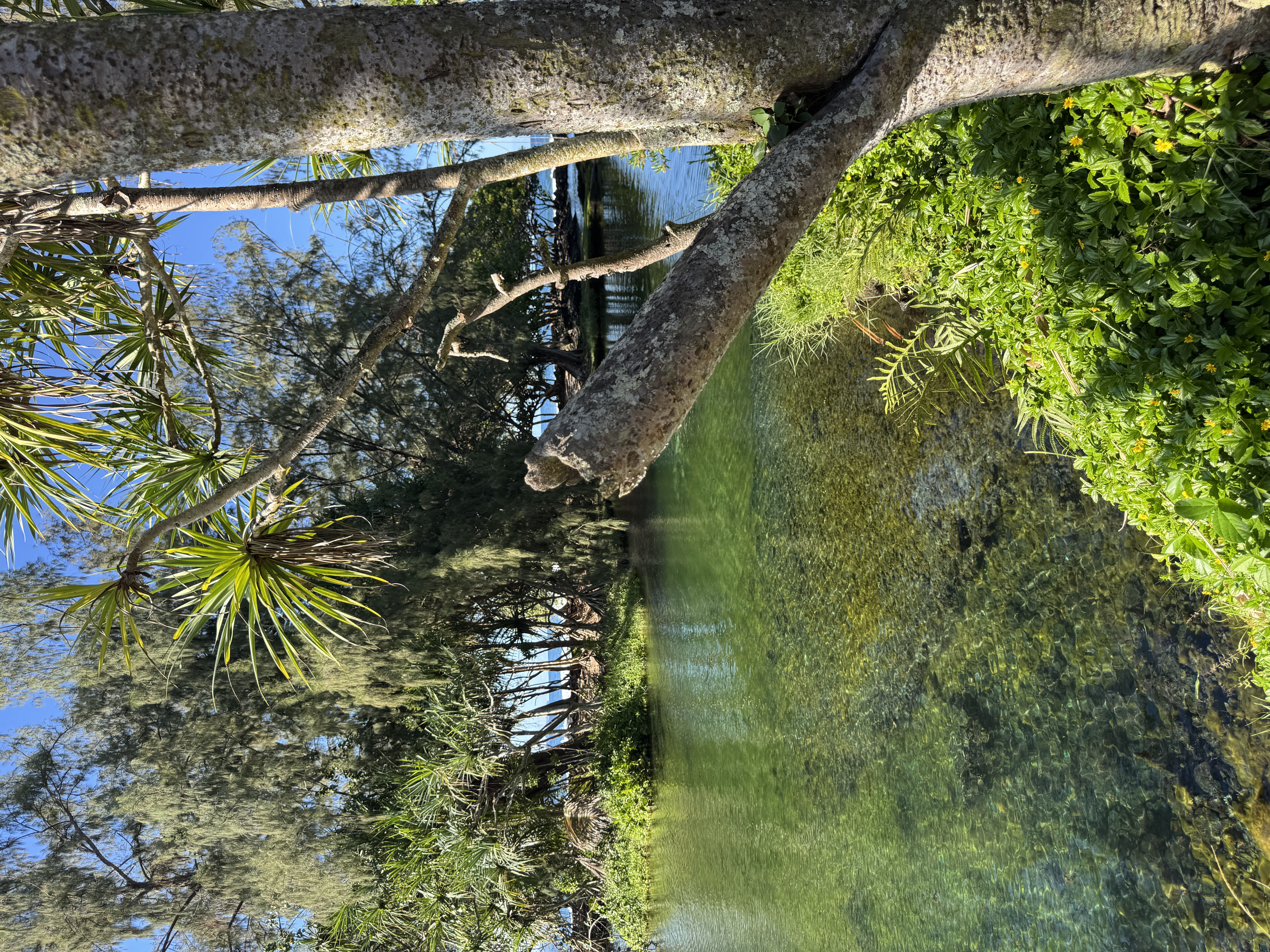 1303 Kalanianaole Street, Unit 112 Hilo, HI 96720 - Photo 26 of 27 a view of a lake with houses