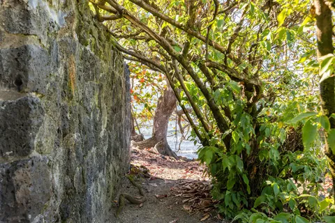 a backyard of a house with lots of green space