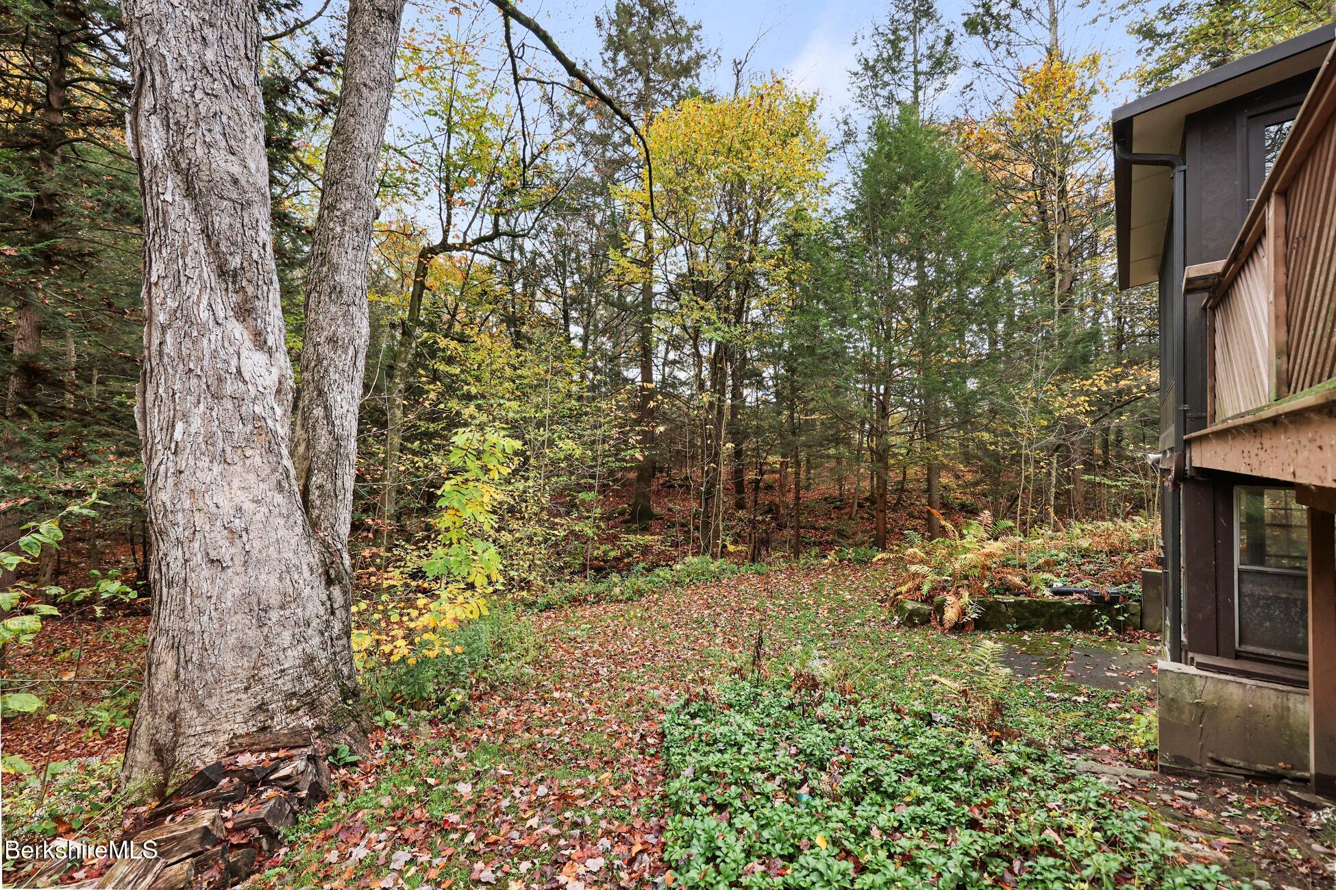 1178 Bancroft Road Becket, MA 01223 - Photo 38 of 40 Back Yard