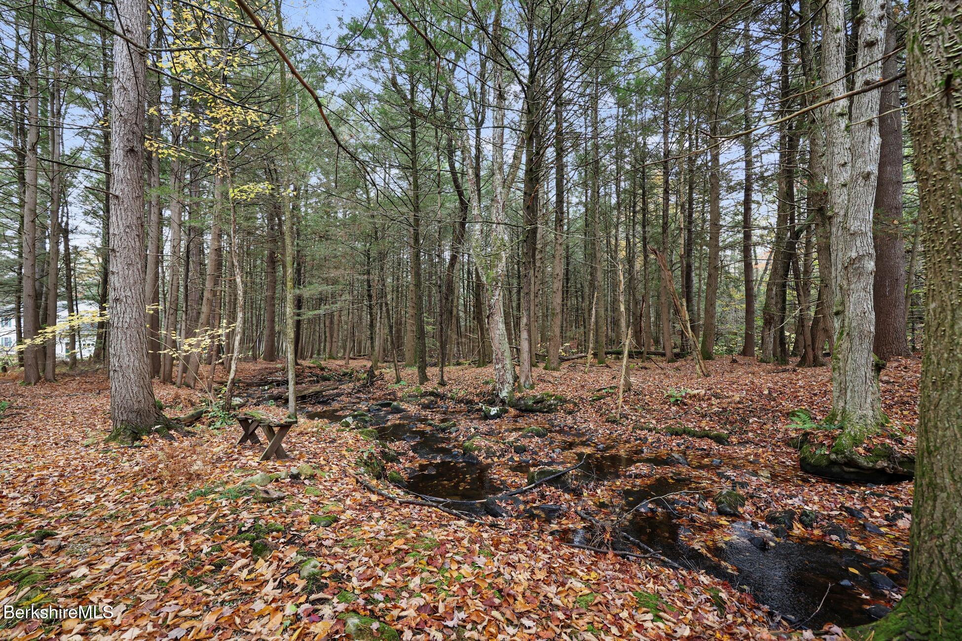1178 Bancroft Road Becket, MA 01223 - Photo 39 of 40 Path along Stream
