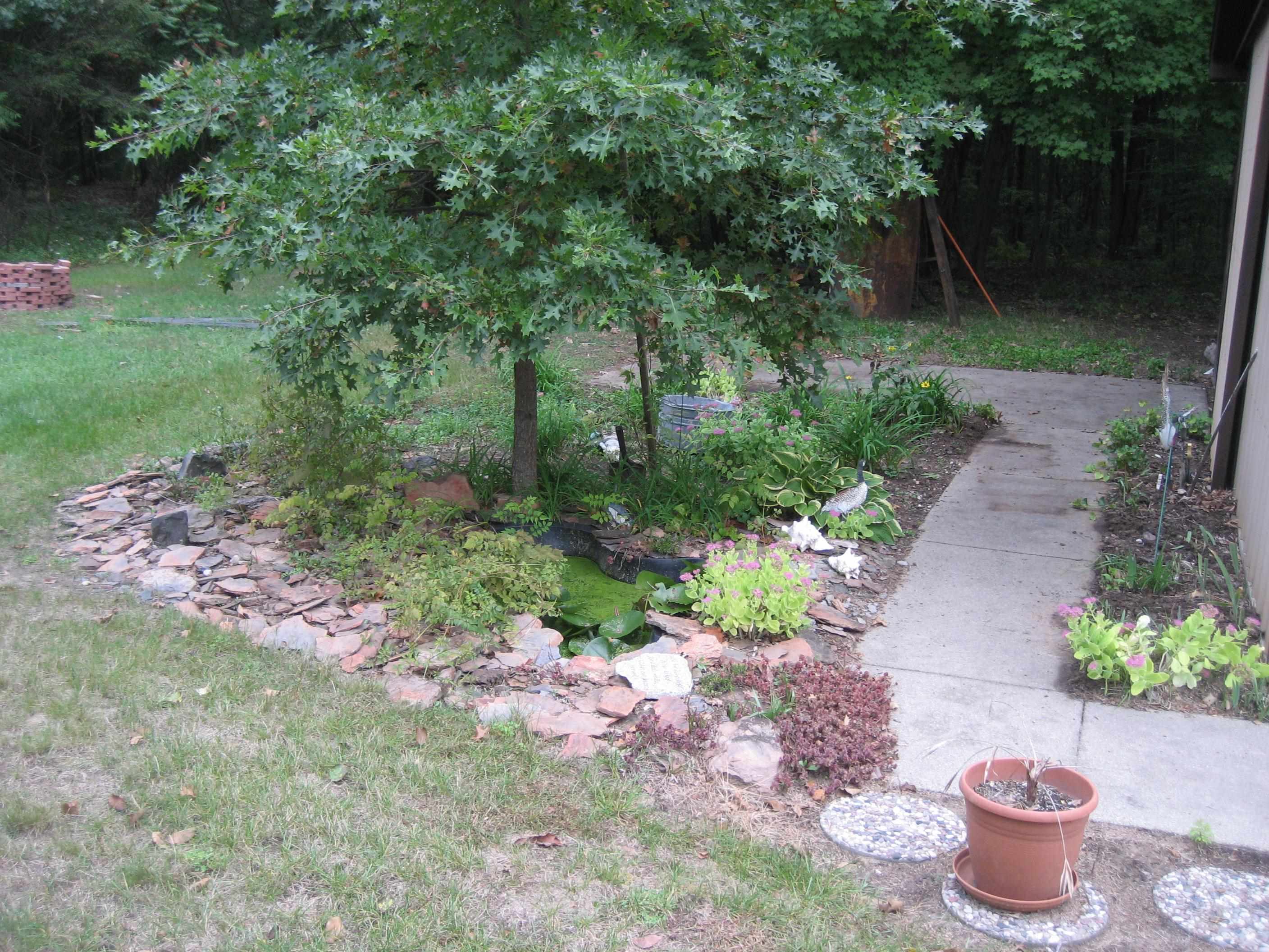 11626 Wahl Road St. Charles, MI 48655 - Photo 32 of 45
