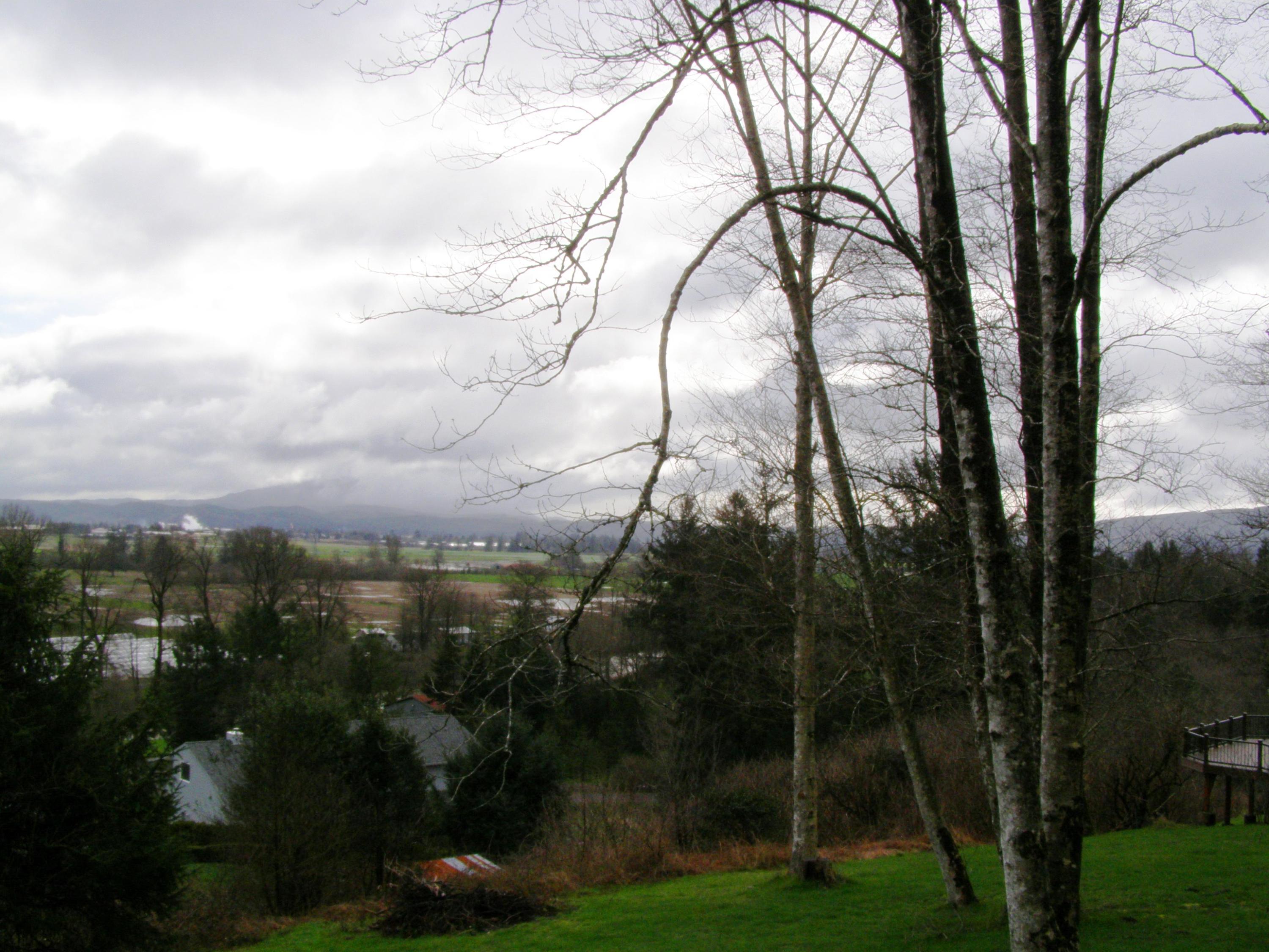 Tl# 500 Hubert Road Tillamook, OR 97141 - Photo 8 of 22 P3102723