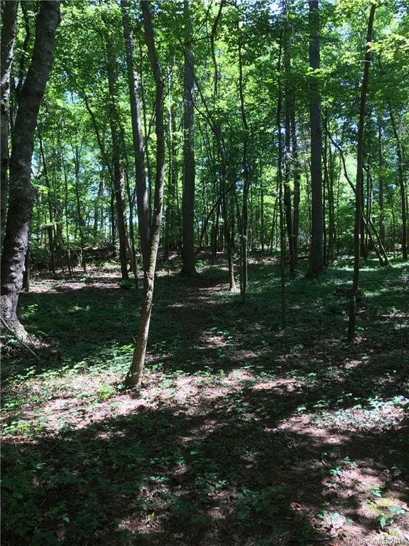 Lot A Maynard Grayson Road Clover, SC 29710 - Photo 2 of 5 a view of a tree in a yard