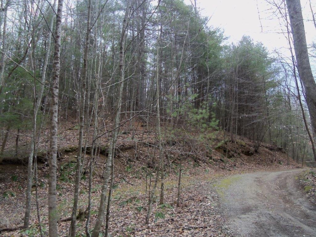Tbd Lick Ridge Road Northeast Check, VA 24072 - Photo 10 of 14 Gallery Image 10