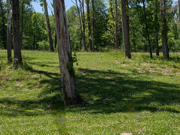 $350,000 | 4487 Fairway Vw Drive, Newburgh, IN 47630