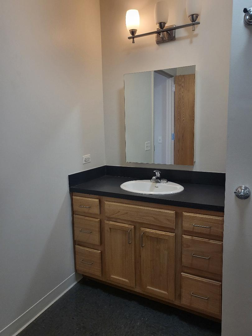 3622 South State Street, Unit 409 Chicago, IL 60609 - Photo 9 of 10 a bathroom with a sink and a mirror
