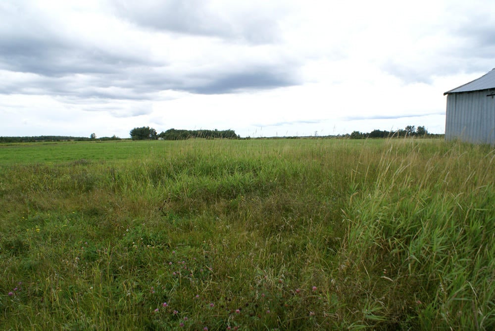 10 West 10 Mile Road Dafter, MI 49724 - Photo 13 of 23 Gallery Image 13