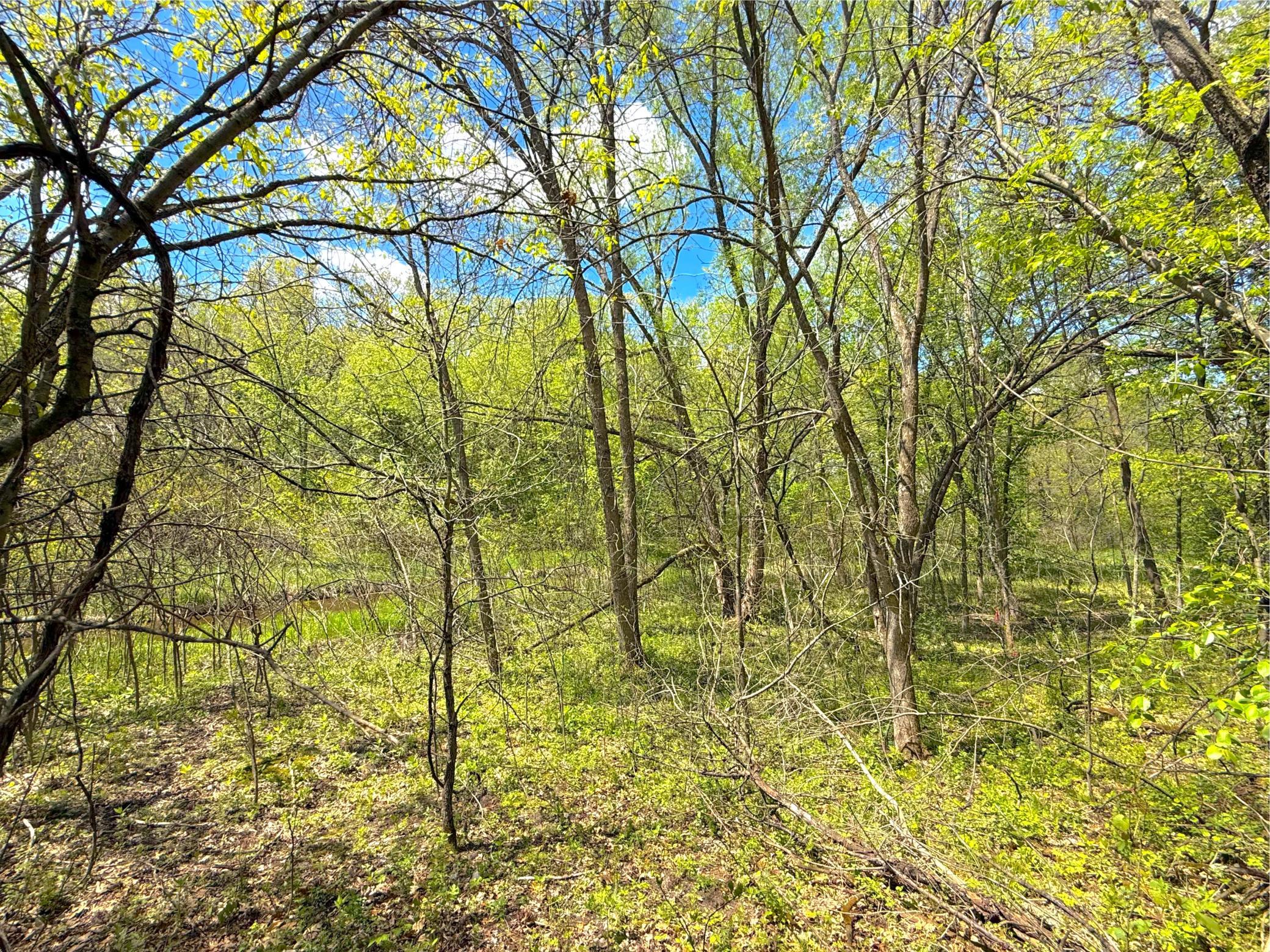 212-xx Franklin Road Clearwater, MN 55320 - Photo 10 of 22