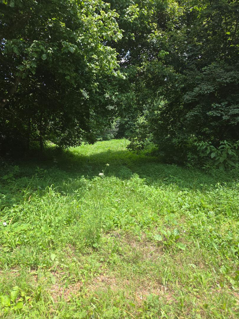 206 Old Villa Ridge Road Mounds, IL 62964 - Photo 2 of 2