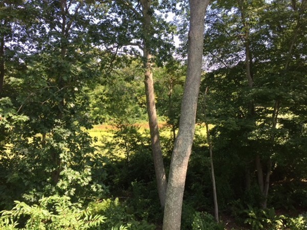 139 Berwick Road Attleboro, MA 02703 - Photo 23 of 23 Gallery Image 23