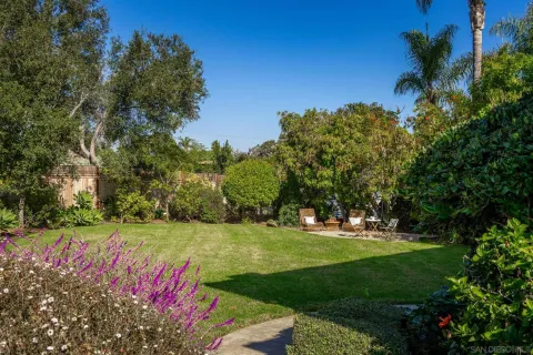 a view of a garden with a tree in the background