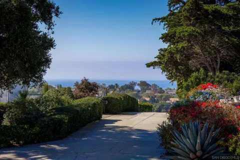 a view of a street with a flower garden