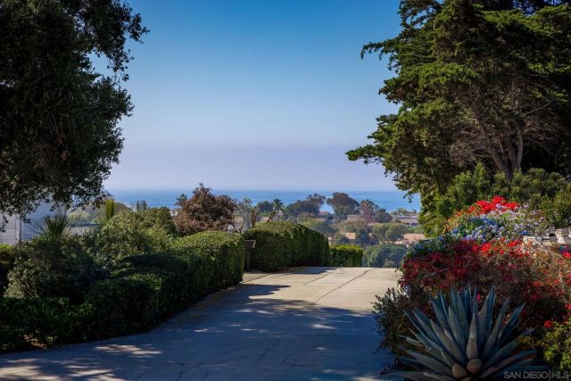 a view of a street with a flower garden