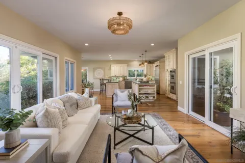 a living room with furniture and a potted plant