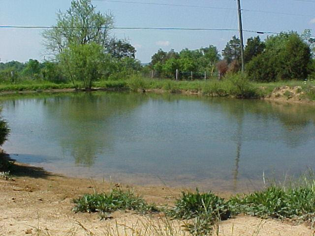 123 Swope Road Stanford, KY 40484 - Photo 3 of 17 Photo 3