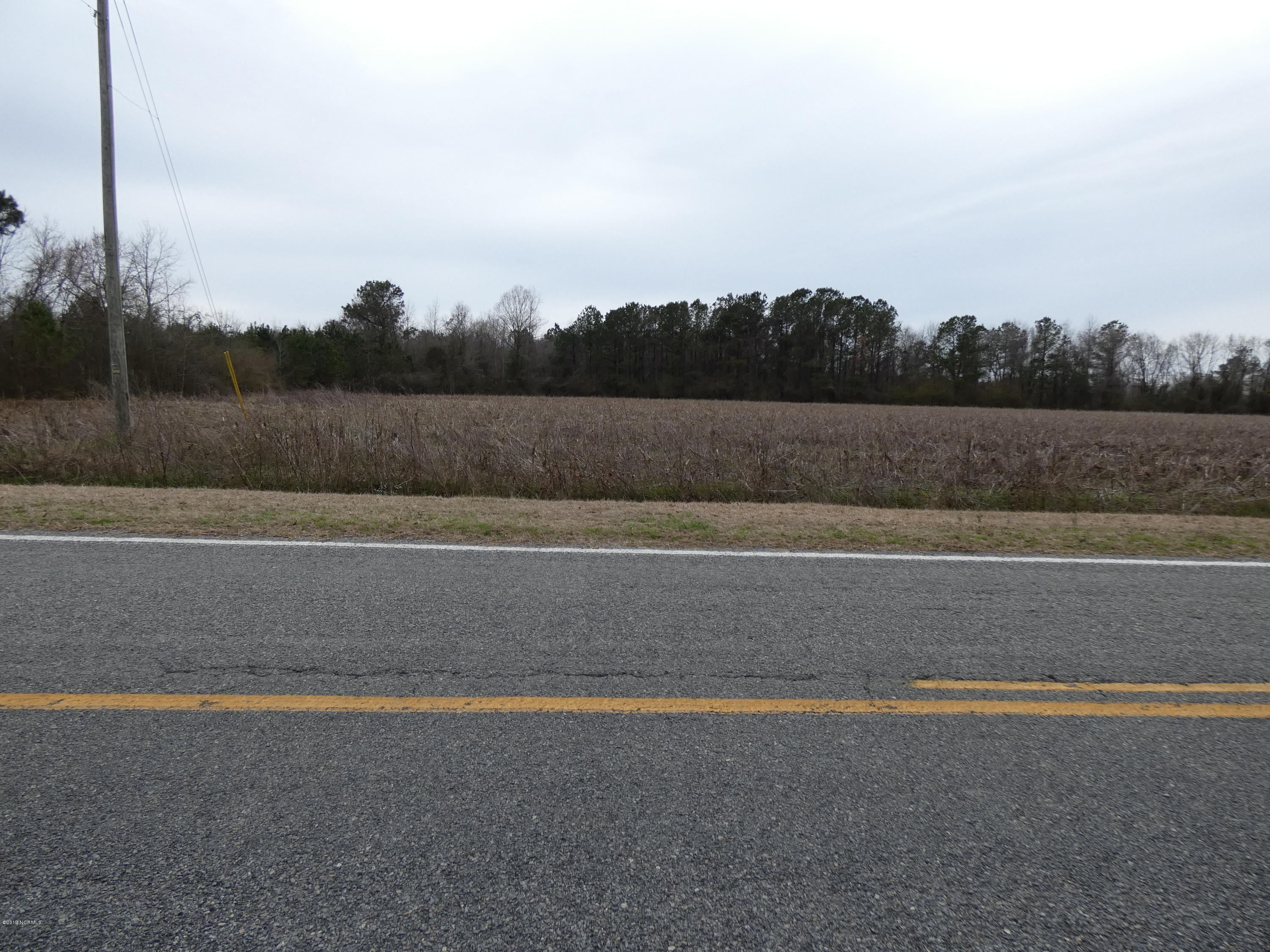2 Merritt Road Magnolia, NC 28453 - Photo 2 of 2 P1030822