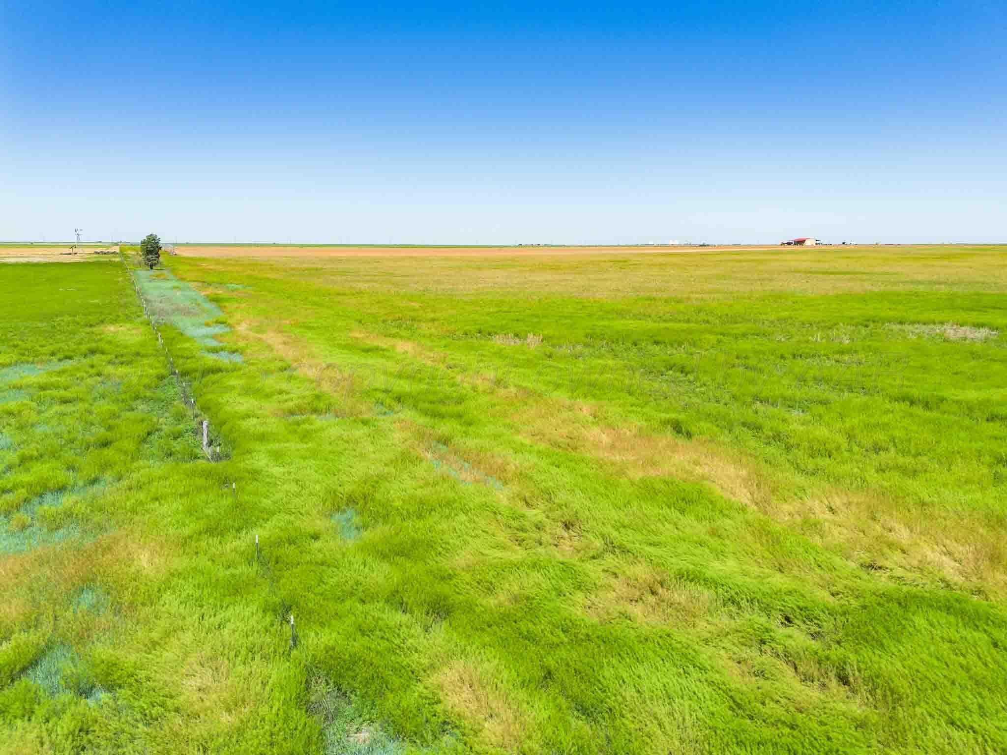 1881 Happy Farm Happy, TX 79042 - Photo 39 of 50 FM_1881_Happy_Farm-40