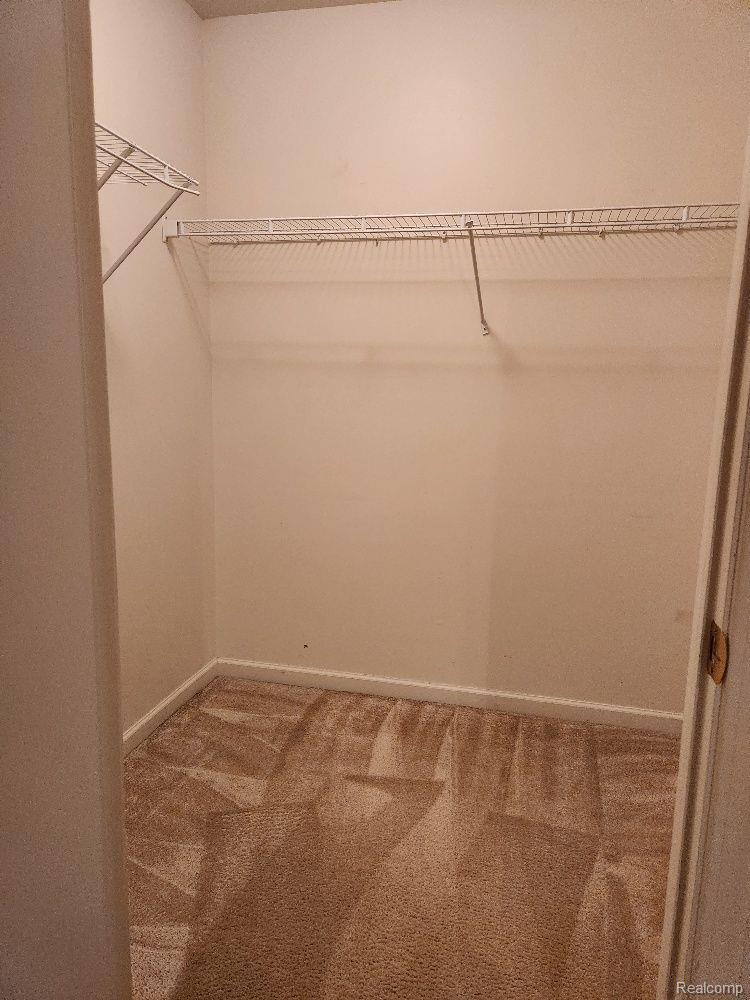 23436 Ridgeview Street, Unit 4 Taylor, MI 48180 - Photo 20 of 26 Master BR closet