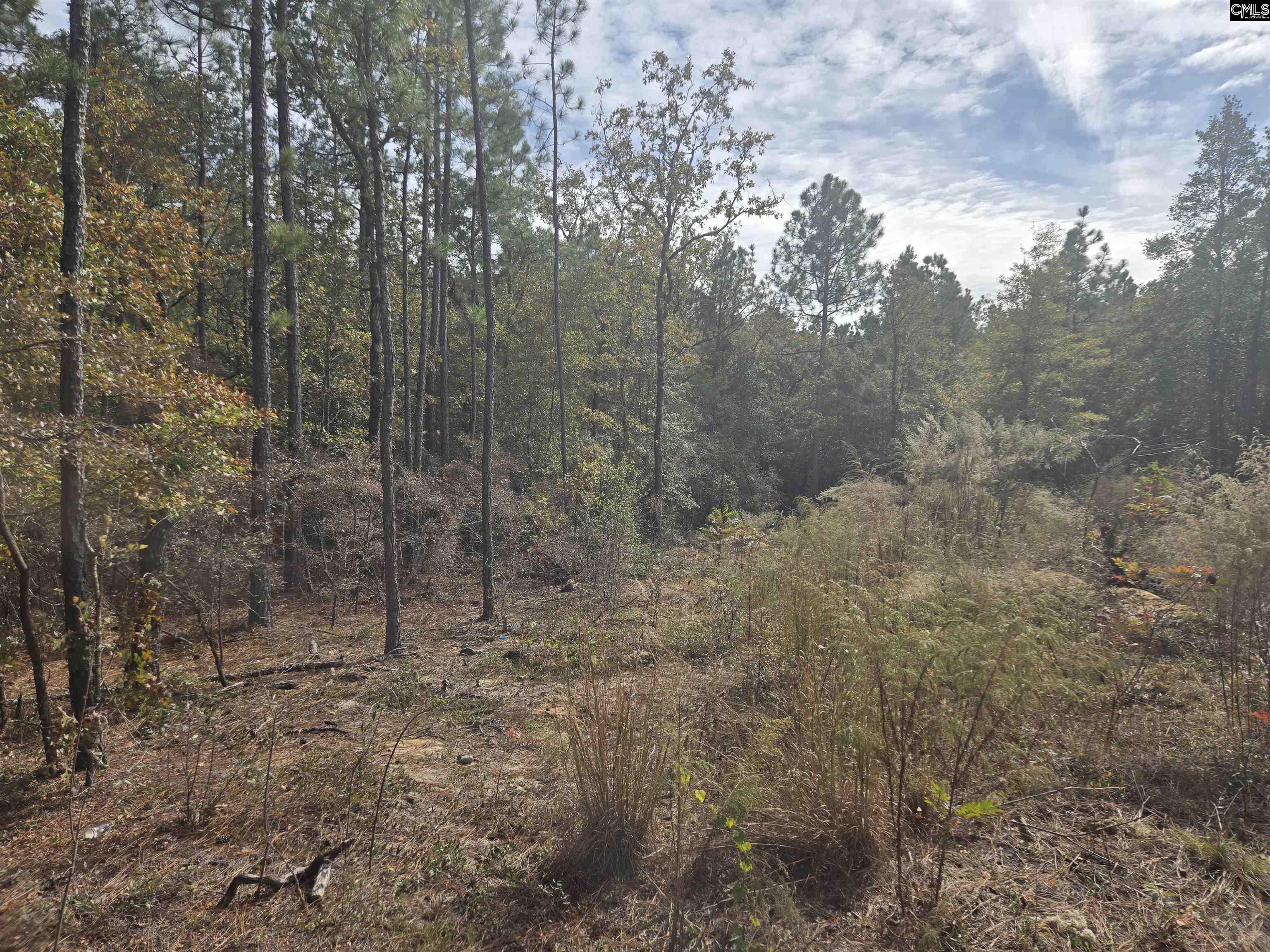 0 Ben Franklin Road Gilbert, SC 29054 - Photo 5 of 5