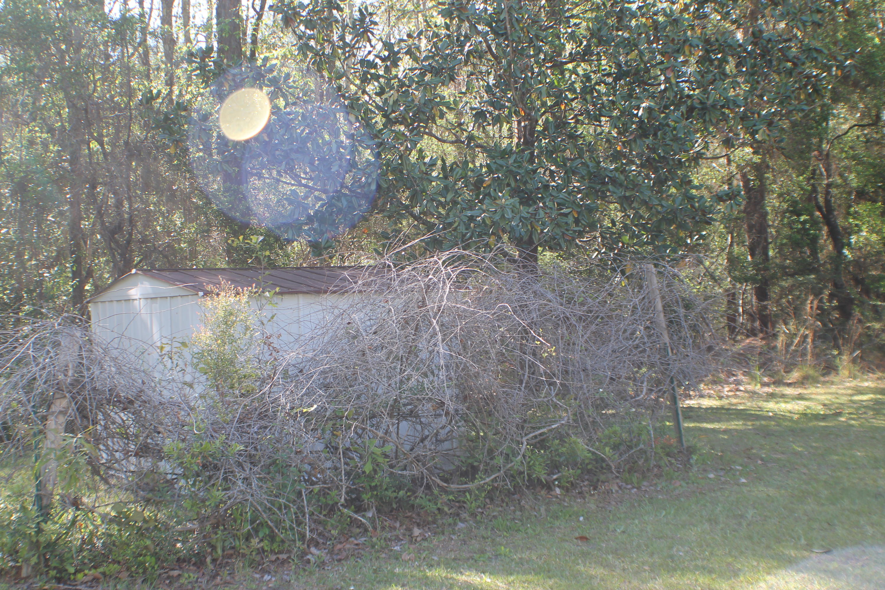 3899 Poverty Creek Road Crestview, FL 32539 - Photo 10 of 58 IMG_0077
