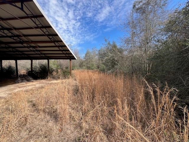 14-ac Potter Road Opp, AL 36467 - Photo 14 of 42 Gallery Image 14