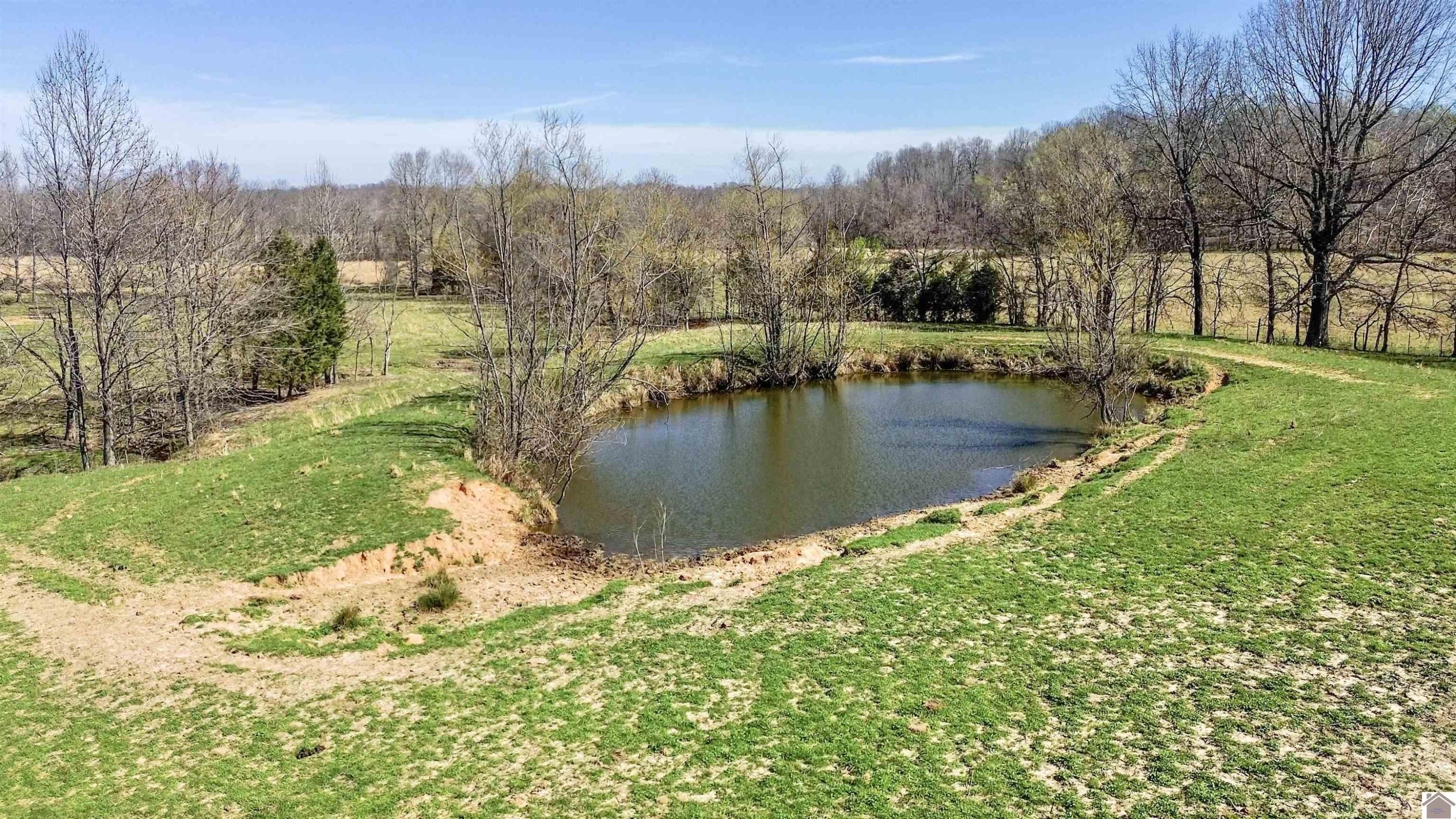 996 Owen Rhea Road Tiline, KY 42083 - Photo 32 of 40 Photo 32