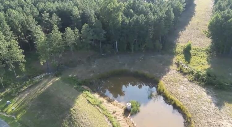 350 Crockett Loop Jasper, TN 37347 - Photo 17 of 55 a view of a lake from a yard