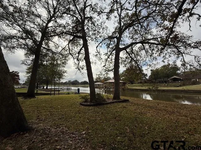a view of lake with trees