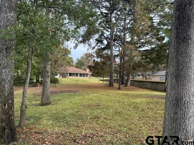 a view of a tree in a yard