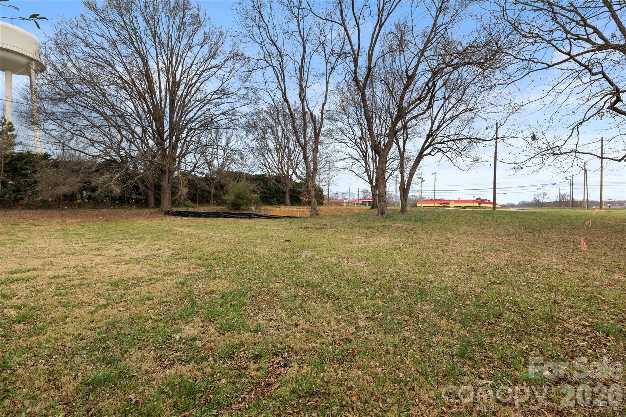 4324 Old Monroe Road Indian Trail, NC 28079 - Photo 5 of 8 a view of a yard with a tree