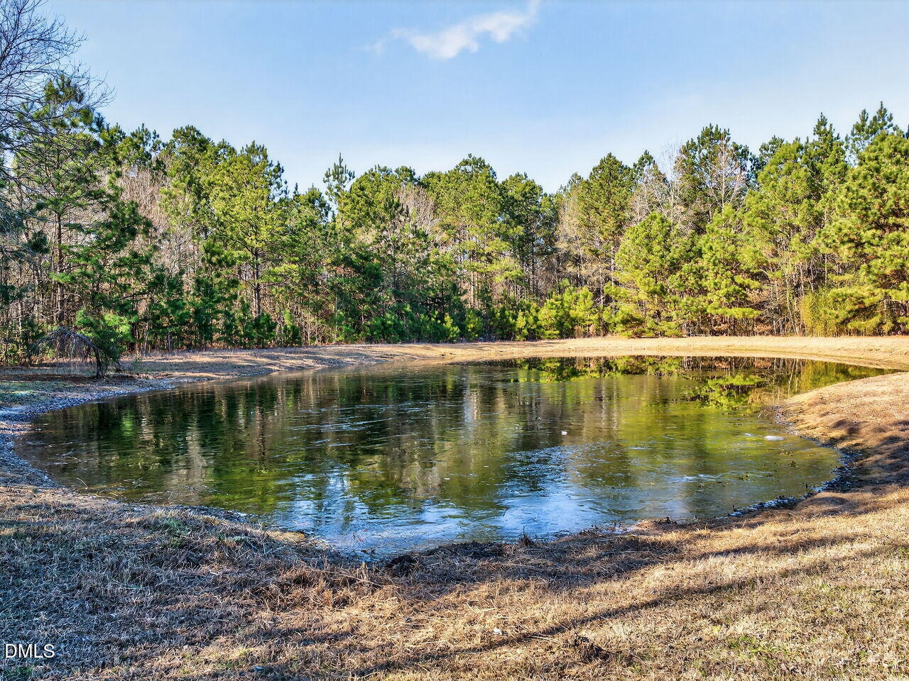 111 Hales Road Kenly, NC 27542 - Photo 41 of 56 Pond on 5 Acre Parcel