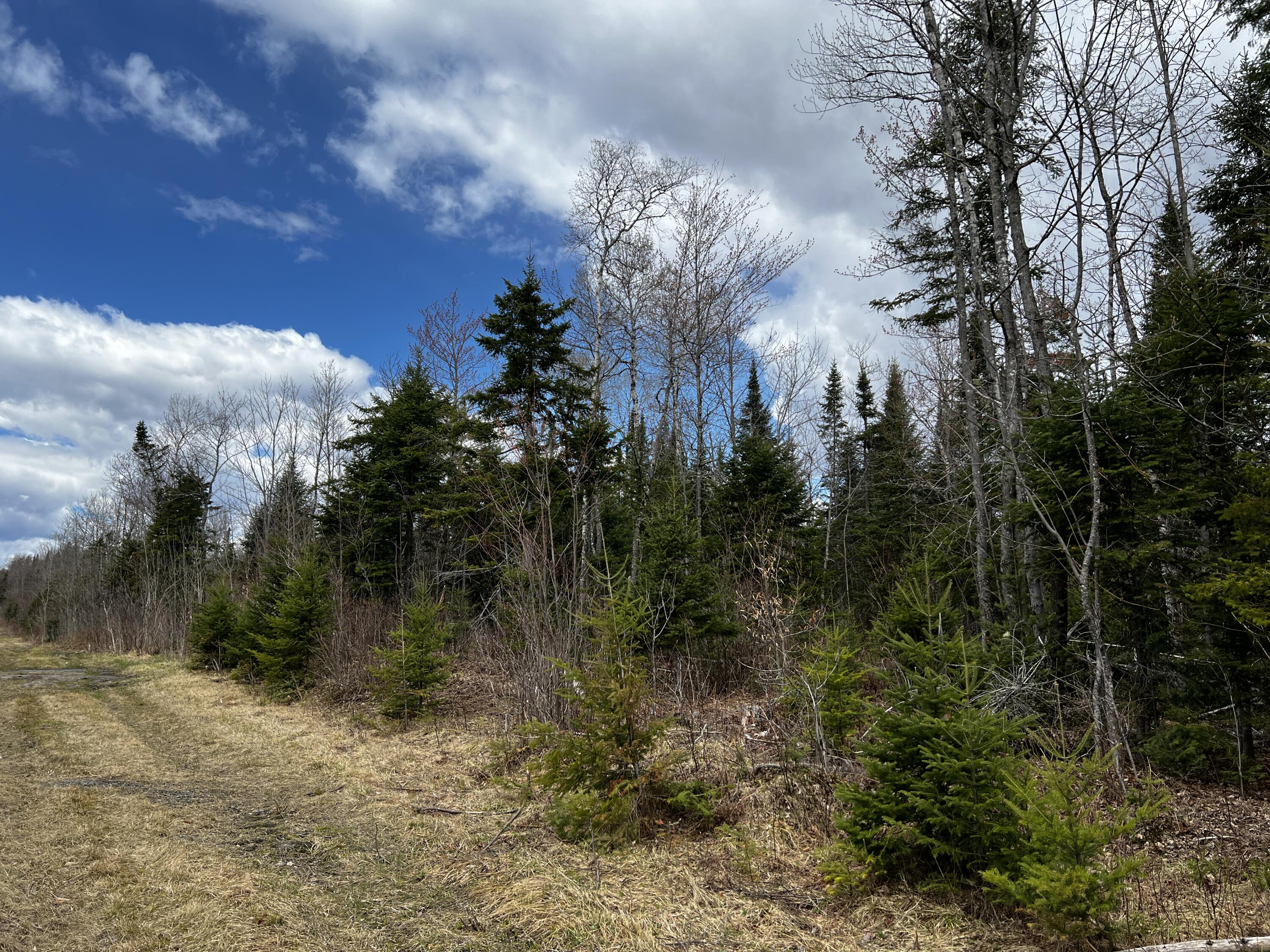 Lot 2-18 Shin Pond Rd Mount Mount Chase, ME 04765 - Photo 11 of 59