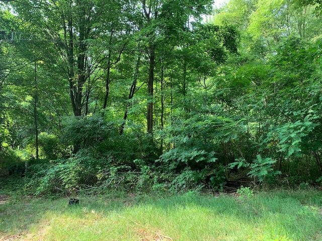 15734 Riley Street Holland, MI 49424 - Photo 2 of 7 IMG_6737