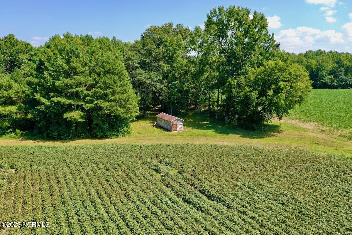 0 Hargraves Road Jackson, NC 27845 - Photo 32 of 50 31