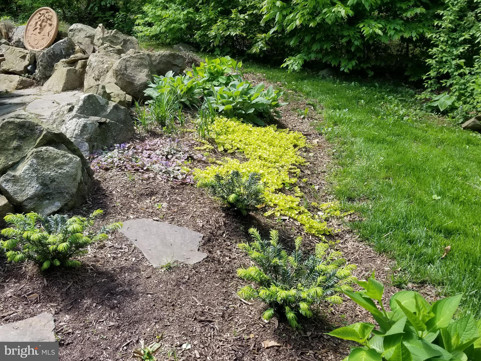 612 Morgans Mill Road Bluemont, VA 20135 - Photo 11 of 41 Extensive landscaping surrounds the cottage
