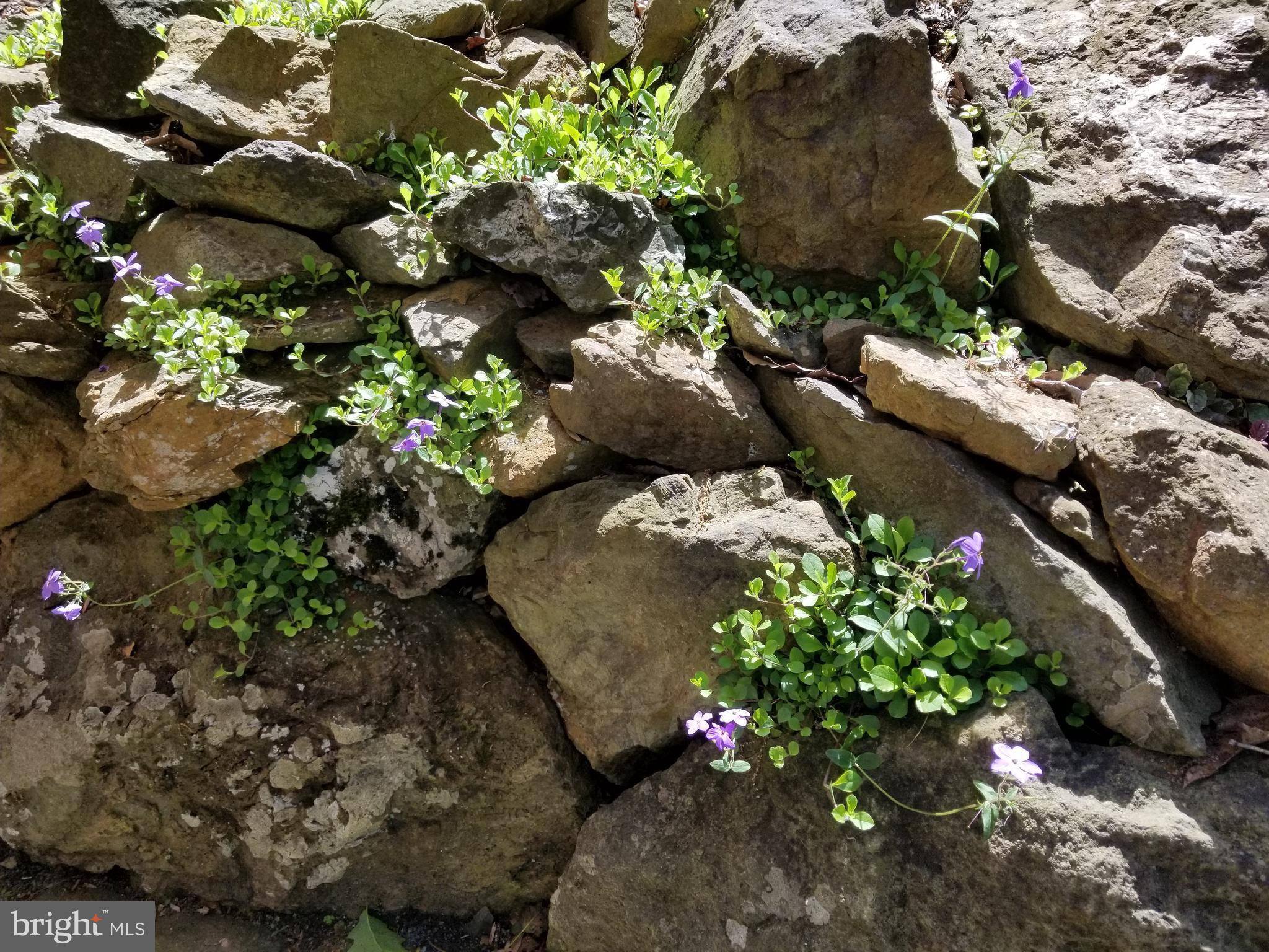 612 Morgans Mill Road Bluemont, VA 20135 - Photo 12 of 41 The rocks come alive with beautiful flowers