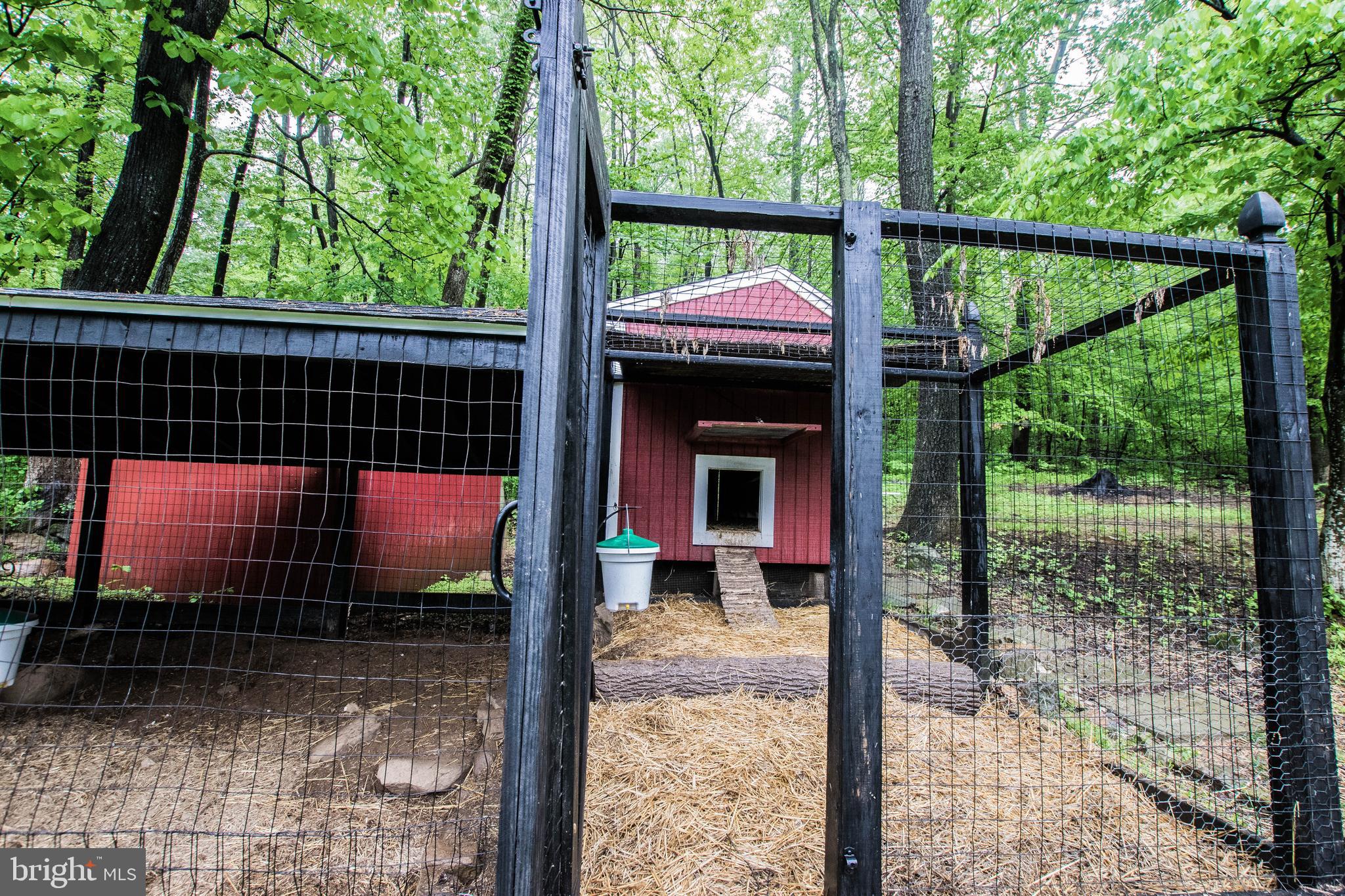 612 Morgans Mill Road Bluemont, VA 20135 - Photo 34 of 41 Gallery Image 34