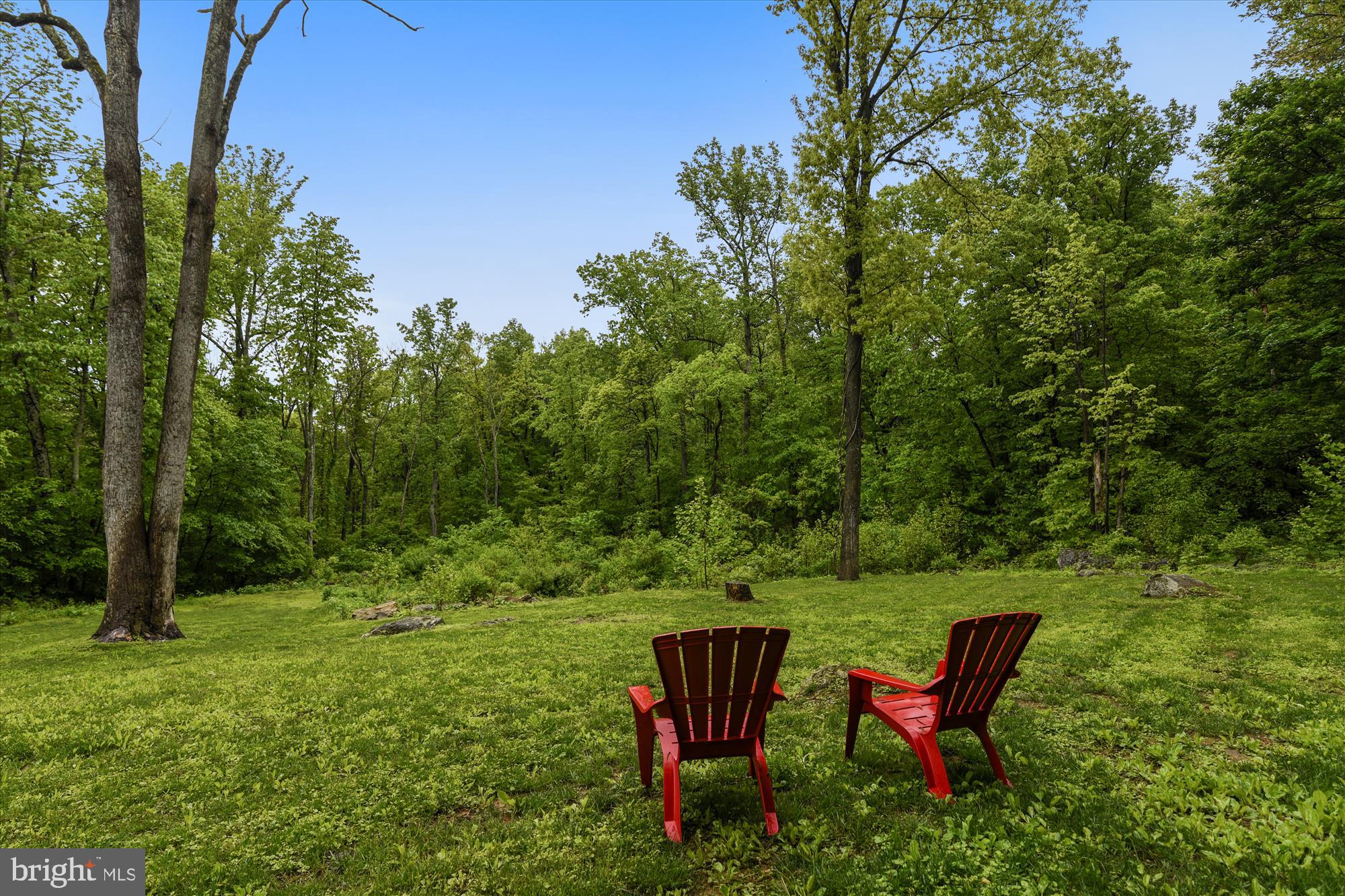 612 Morgans Mill Road Bluemont, VA 20135 - Photo 35 of 41 Gallery Image 35