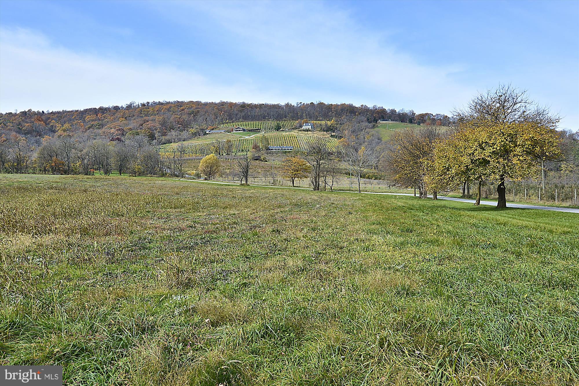 612 Morgans Mill Road Bluemont, VA 20135 - Photo 41 of 41 Gallery Image 41