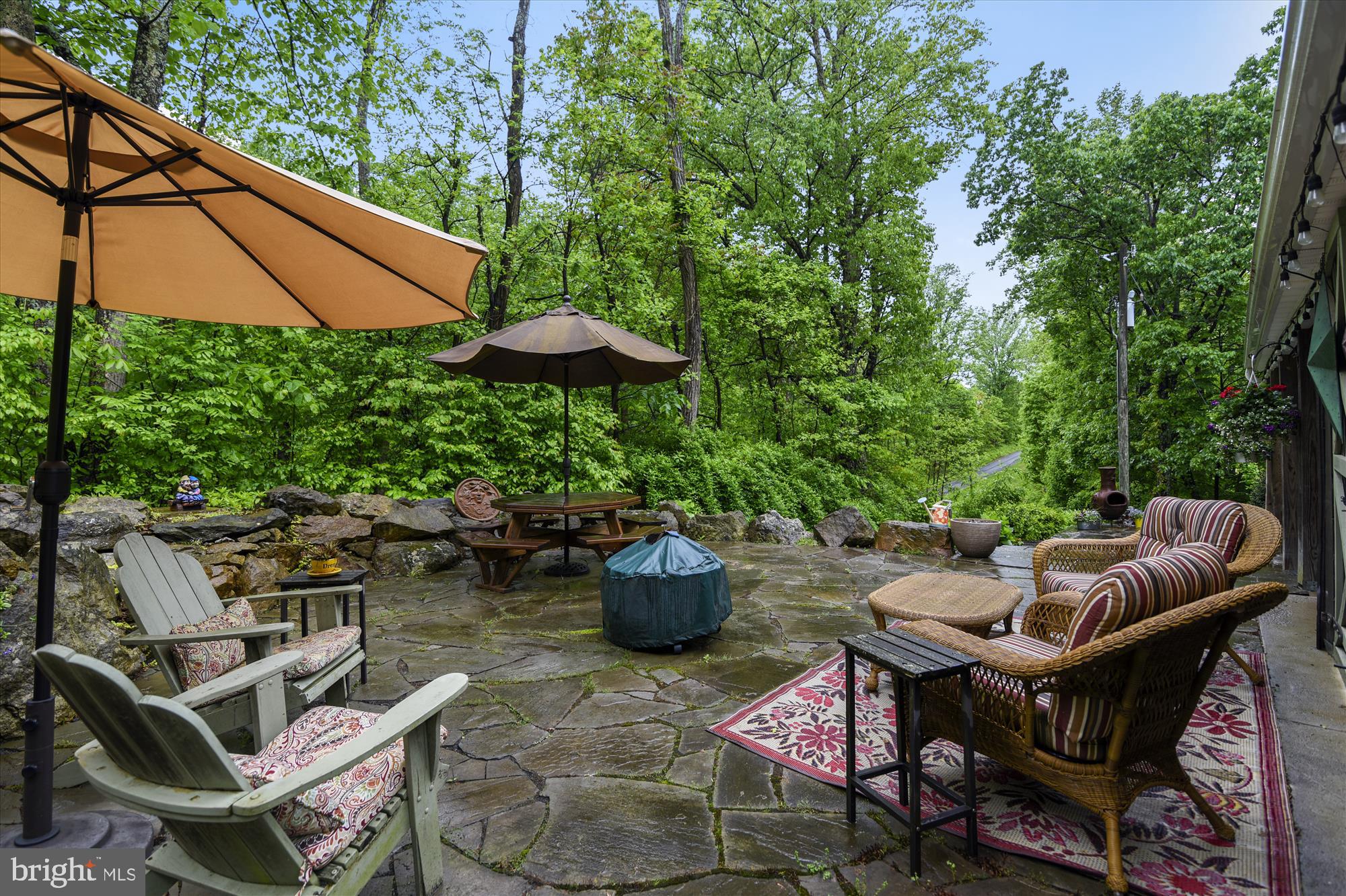 612 Morgans Mill Road Bluemont, VA 20135 - Photo 6 of 41 Fabulous Outdoor Living