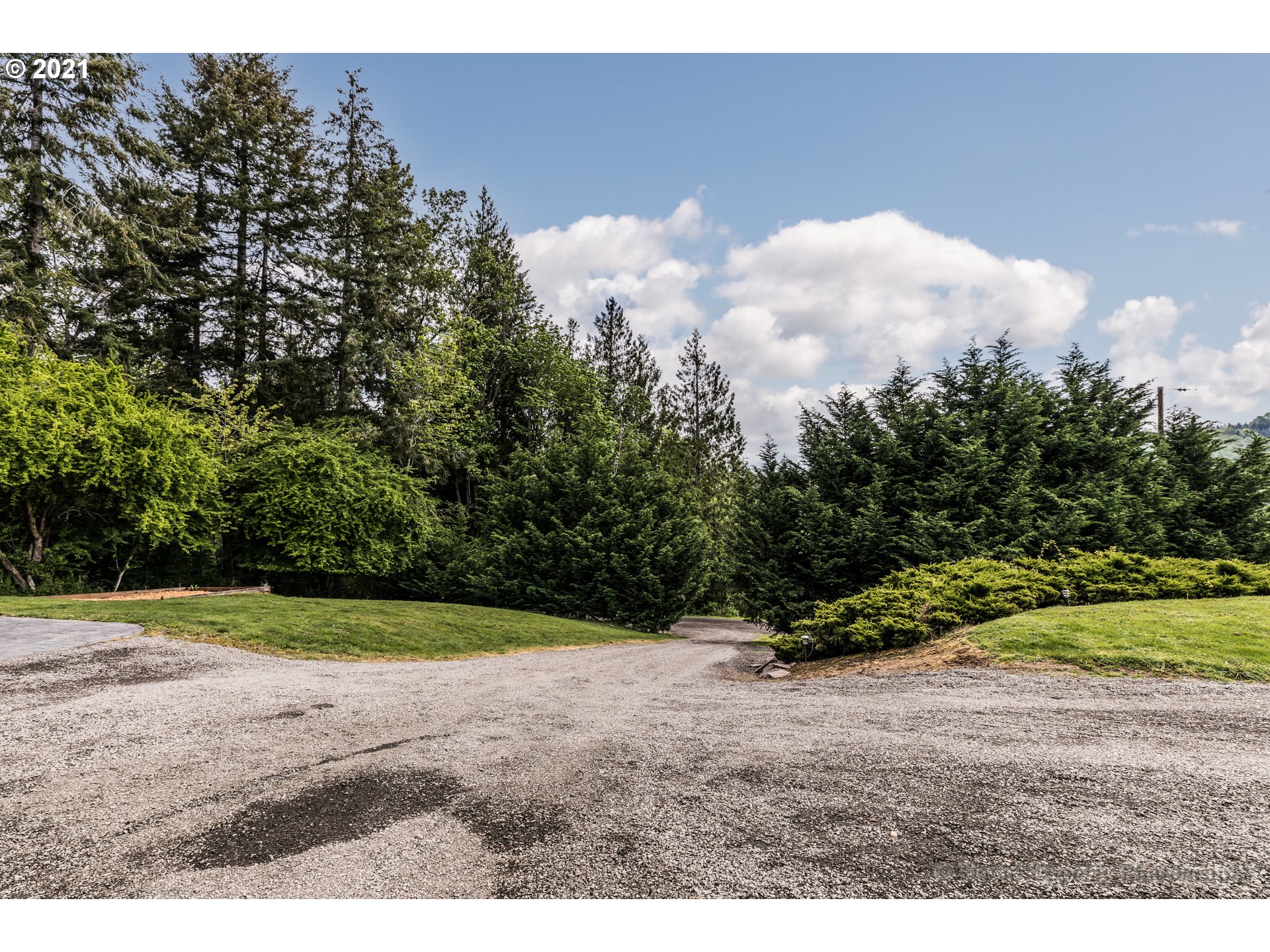 75040 Lewis Road Rainier, OR 97048 - Photo 20 of 22 a view of a big yard with plants and trees